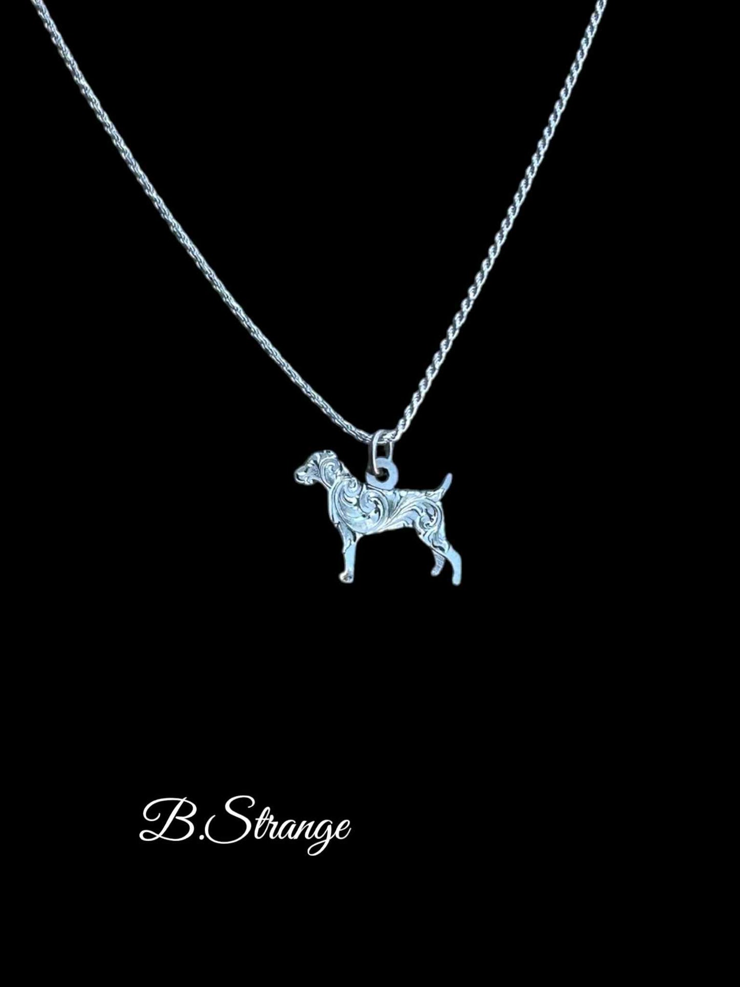 Jack Russel