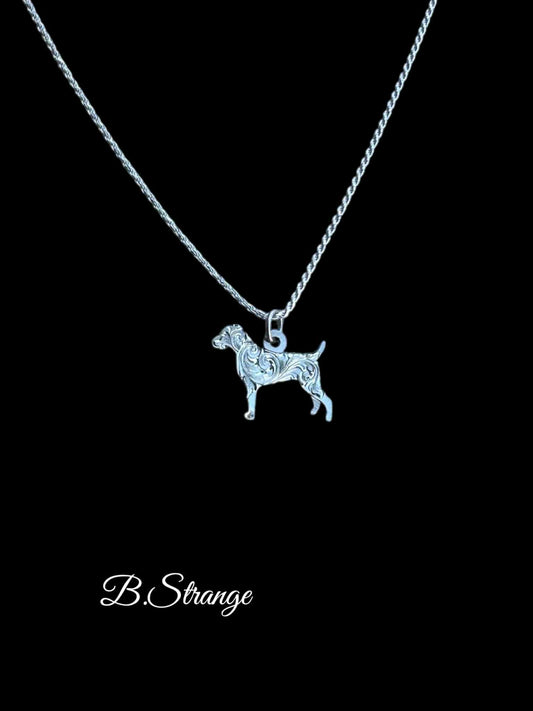 Jack Russel